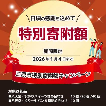 広島県三原市のふるさと納税 2026年1月4日まで≪特別寄附額≫【八天堂】とろけるくりーむパン 10個詰合せ (5種×2個) クリームパン 菓子パン スイーツ カスタード 生クリーム チョコレート 抹茶 フローズン 冷凍 ギフト すいーつ 015014