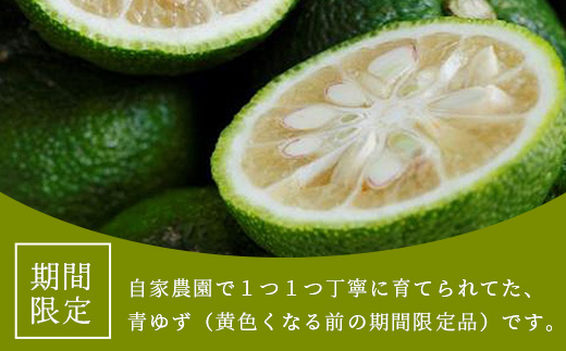 【先行受付・期間限定】徳島県那賀町産 木頭ゆず 青ゆず 3Kg (約36個) 【8月下旬頃より発送】徳島 木頭地区 栽培期間中農薬・化学肥料不使用  柚子 ユズ 青柚子 黄金の村 国産 新鮮 薬味 柑橘 産地直送 OM-136|株式会社 黄金の村