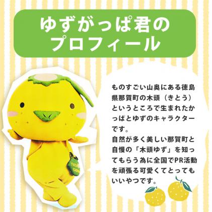 ★ゆず グッズ,タオル、コップ、ビーチサンダル,トートバッグ他色々セット⑤★ ゆずがっぱミニタオル(マッチョになりたい)[徳島県 那賀町 ゆずがっぱ