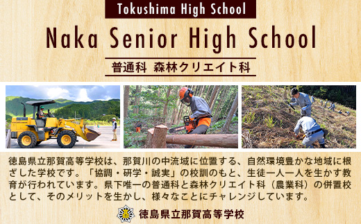 木頭杉の積み木セット」徳島県立那賀高等学校 森林クリエイト科制作