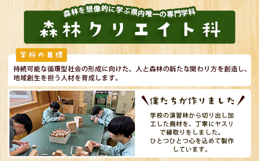 木頭杉の積み木セット」徳島県立那賀高等学校 森林クリエイト科制作
