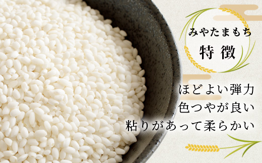 みやたまもち玄米25㎏