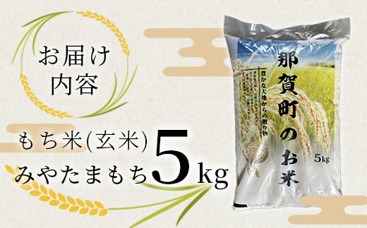 那賀町相生産 みやたまもち 玄米 5kg 1袋【徳島 那賀 国産 徳島県産
