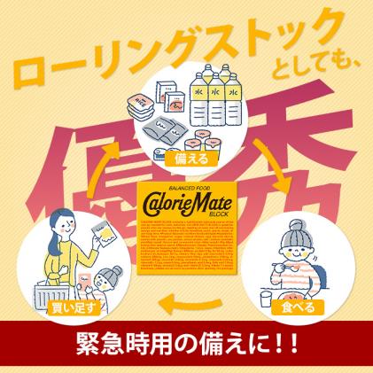 徳島県那賀町のふるさと納税 【大塚製薬】カロリーメイト ブロックバニラ味4本入り×30箱[徳島 那賀 カロリーメイト バニラ ビタミン ミネラル たんぱく質 脂質 糖質 5大栄養素 バランス栄養食 栄養補給 仕事 勉強 スポーツ 防災 災害 地震 非常食 常備食 備蓄 受験 受験応援 新生活 大塚製薬]【AA-1-1】