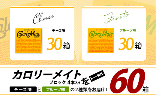 大塚製薬】カロリーメイト ブロック 4本入り チーズ味30箱+フルーツ味