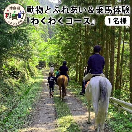 動物ふれあい&乗馬体験 『わくわくコース』約30分 1名