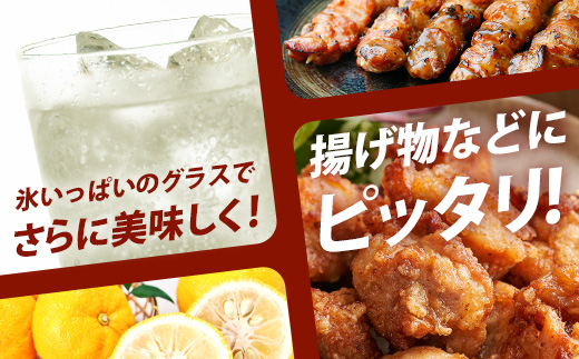 徳島県那賀町のふるさと納税 木頭ゆずチューハイ 350ml 24本入り【徳島 那賀 木頭 木頭ゆず 木頭ユズ 木頭柚子 ゆず ユズ 柚子 柑橘 お酒 酒 チューハイ 缶酎ハイ 柚子チューハイ 缶チューハイ 酎ハイ 果汁 炭酸 アルコール アルコール分3% 果汁2% 24本 人気 おすすめ お酒好き ほろよい気分 母の日 父の日 御歳暮 お歳暮 お中元 御中元 年賀 贈物 プレゼント ギフト】AK-1