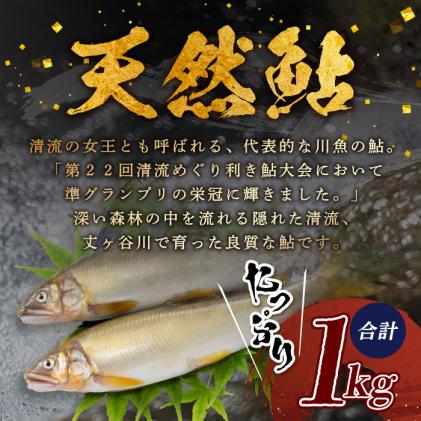 徳島県那賀町のふるさと納税 那賀町産 冷凍天然鮎 (小サイズ) 1kg入 KG-2【徳島県 那賀町 徳島 那賀 国産 天然鮎 天然 鮎 アユ あゆ 魚 さかな 冷凍 キャンプ BBQ バーベキュー 塩焼き 川魚 個包装】