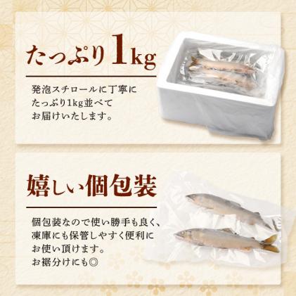 徳島県那賀町のふるさと納税 那賀町産 冷凍天然鮎 (小サイズ) 1kg入 KG-2【徳島県 那賀町 徳島 那賀 国産 天然鮎 天然 鮎 アユ あゆ 魚 さかな 冷凍 キャンプ BBQ バーベキュー 塩焼き 川魚 個包装】