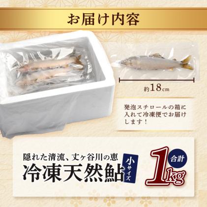 徳島県那賀町のふるさと納税 那賀町産 冷凍天然鮎 (小サイズ) 1kg入 KG-2【徳島県 那賀町 徳島 那賀 国産 天然鮎 天然 鮎 アユ あゆ 魚 さかな 冷凍 キャンプ BBQ バーベキュー 塩焼き 川魚 個包装】