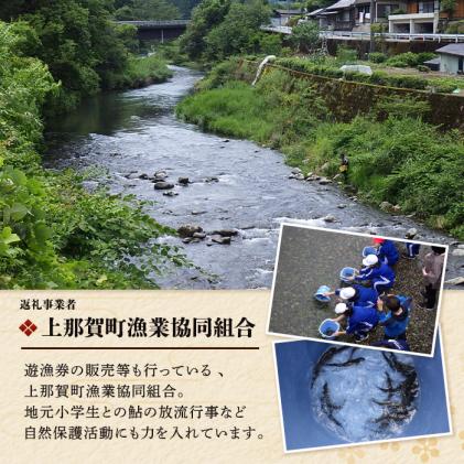 徳島県那賀町のふるさと納税 那賀町産 冷凍天然鮎 (小サイズ) 1kg入 KG-2【徳島県 那賀町 徳島 那賀 国産 天然鮎 天然 鮎 アユ あゆ 魚 さかな 冷凍 キャンプ BBQ バーベキュー 塩焼き 川魚 個包装】