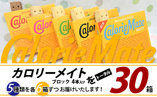 徳島県那賀町のふるさと納税 【大塚製薬】カロリーメイト ブロック 4本入り 合計30箱 5種類×各6箱【徳島 那賀 カロリーメイト チョコ バニラ メープル チーズ フルーツ ビタミン ミネラル たんぱく質 脂質 糖質 5大栄養素 バランス栄養食 栄養補給 仕事 勉強 スポーツ 防災 災害 地震 非常食 常備食 備蓄 受験 受験応援 新生活 大塚製薬】MS-1