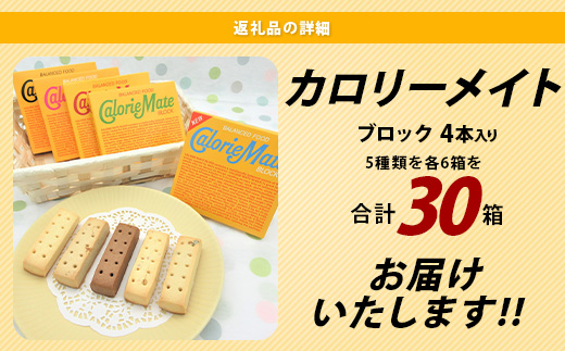 徳島県那賀町のふるさと納税 【大塚製薬】カロリーメイト ブロック 4本入り 合計30箱 5種類×各6箱【徳島 那賀 カロリーメイト チョコ バニラ メープル チーズ フルーツ ビタミン ミネラル たんぱく質 脂質 糖質 5大栄養素 バランス栄養食 栄養補給 仕事 勉強 スポーツ 防災 災害 地震 非常食 常備食 備蓄 受験 受験応援 新生活 大塚製薬】MS-1