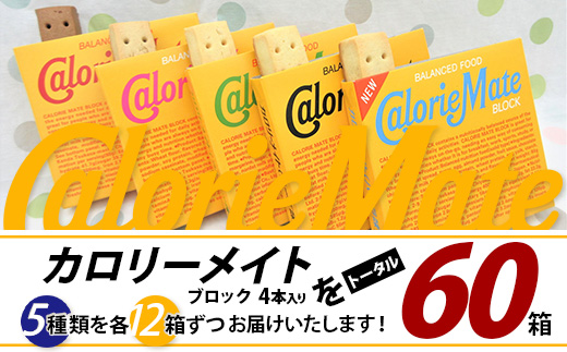 徳島県那賀町のふるさと納税 【大塚製薬】カロリーメイトブロック 4本入り 合計60箱 5種類×各12箱【徳島 那賀 カロリーメイト チョコ バニラ メープル チーズ フルーツ ビタミン ミネラル たんぱく質 脂質 糖質 5大栄養素 バランス栄養食 栄養補給 仕事 勉強 スポーツ 防災 災害 地震 非常食 常備食 備蓄 受験 受験応援 新生活 大塚製薬】MS-2