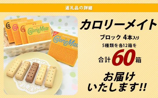 徳島県那賀町のふるさと納税 【大塚製薬】カロリーメイトブロック 4本入り 合計60箱 5種類×各12箱【徳島 那賀 カロリーメイト チョコ バニラ メープル チーズ フルーツ ビタミン ミネラル たんぱく質 脂質 糖質 5大栄養素 バランス栄養食 栄養補給 仕事 勉強 スポーツ 防災 災害 地震 非常食 常備食 備蓄 受験 受験応援 新生活 大塚製薬】MS-2