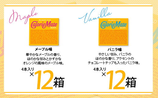 3回定期便:合計180箱】 カロリーメイト ブロック 4本入り 5種類 各12箱