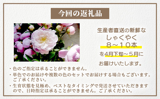 予約受付】那賀町産 しゃくやく 8本～10本【4月下旬～5月発送】【徳島