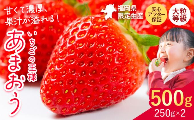 長野県オリジナル品種 数量限定のプラム【麗玉(R)】1玉250g化粧箱(糖度