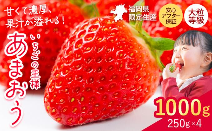 JA31 梨 豊水 約2kg / 2026年9月上旬～9月下旬頃 配送予定 // 贈答
