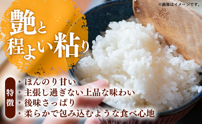 福岡県鞍手町のふるさと納税 【無洗米】夢つくし 10kg(5kg×2袋)《30日以内に出荷予定(土日祝除く)》 米 こめ コメ 福岡県産米 ゆめつくし 人気 白米 おすすめ もちもち 福岡県 鞍手町