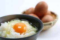朝獲れ卵 味宝卵 (80個) 卵 Lサイズ