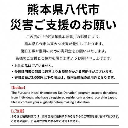熊本県八代市のふるさと納税 【熊本県八代市】 令和8年熊本地震 災害支援【返礼品なし】