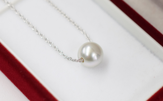 熊本県天草市のふるさと納税 S085-382_8.5mm - 9mm ネックレス あこや真珠 ナチュラルカラー 1粒 ネックレス スルーネックレス SV925 シルバー925[A]あずきチェーン