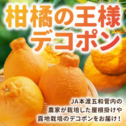 熊本県天草市のふるさと納税 S053-002_天草産 デコポン 3kg〈先行受付〉