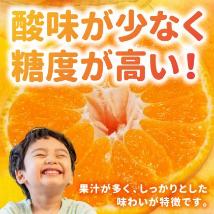 熊本県天草市のふるさと納税 S053-002_天草産 デコポン 3kg〈先行受付〉