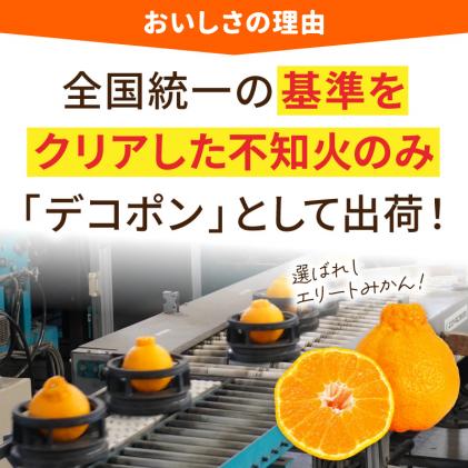 熊本県天草市のふるさと納税 S053-002_天草産 デコポン 3kg〈先行受付〉