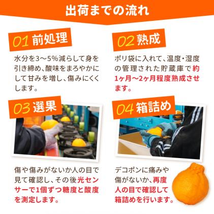 熊本県天草市のふるさと納税 S053-002_天草産 デコポン 3kg〈先行受付〉