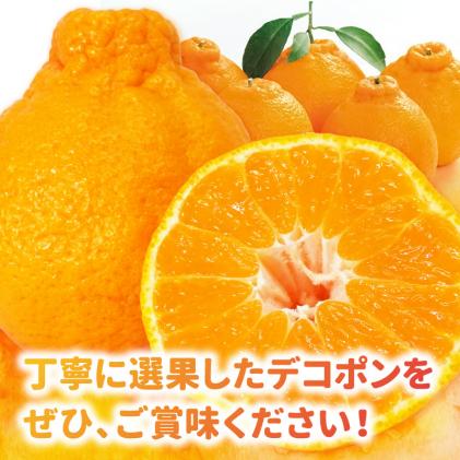 熊本県天草市のふるさと納税 S053-002_天草産 デコポン 3kg〈先行受付〉