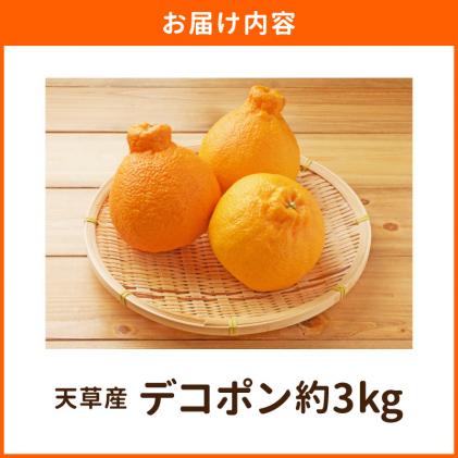 熊本県天草市のふるさと納税 S053-002_天草産 デコポン 3kg〈先行受付〉
