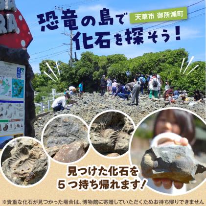 S174-002_化石ディグ利用券(2名様) / 熊本県天草市 | セゾンのふるさと納税