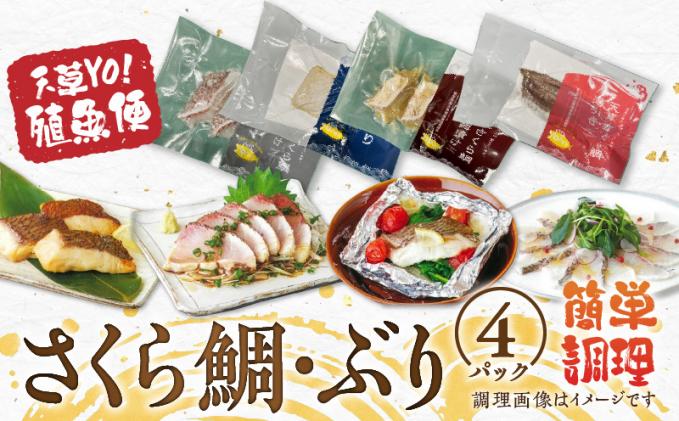 S042-004_天草YO!殖魚便 ぶり さくら鯛 4種 各1パック