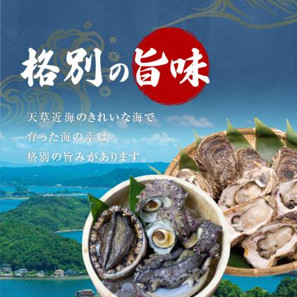熊本県天草市のふるさと納税 S002-021_【期間限定・先行受付】大容量!天草の旬!バーベキューセット　約6人前