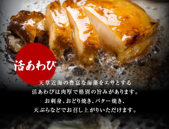 熊本県天草市のふるさと納税 S002-021_【期間限定・先行受付】大容量!天草の旬!バーベキューセット　約6人前