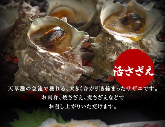 熊本県天草市のふるさと納税 S002-021_【期間限定・先行受付】大容量!天草の旬!バーベキューセット　約6人前