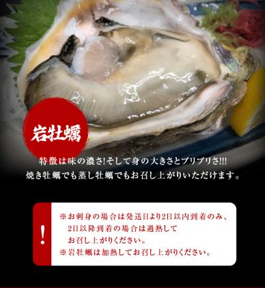 熊本県天草市のふるさと納税 S002-021_【期間限定・先行受付】大容量!天草の旬!バーベキューセット　約6人前