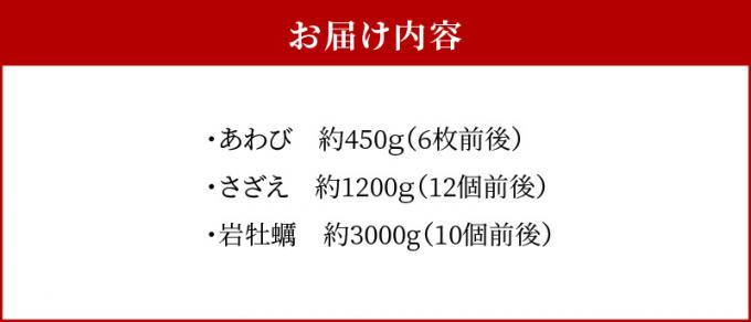 熊本県天草市のふるさと納税 S002-021_【期間限定・先行受付】大容量!天草の旬!バーベキューセット　約6人前
