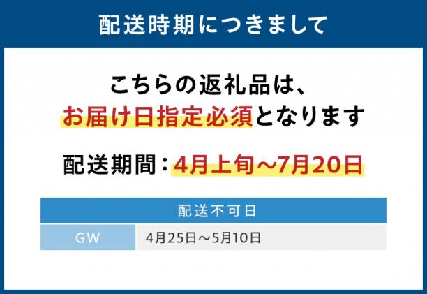 熊本県天草市のふるさと納税 S002-021_【期間限定・先行受付】大容量!天草の旬!バーベキューセット　約6人前