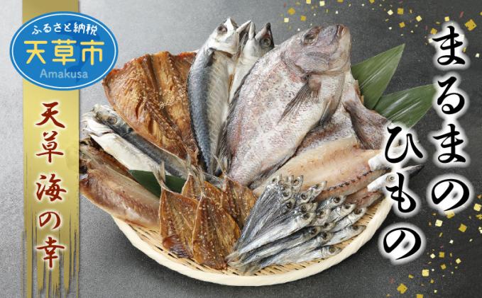 S113-001_まるまのひもの