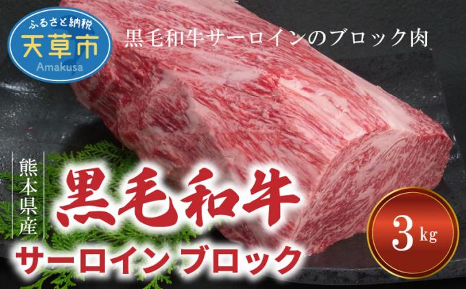 S001-013_熊本県産 黒毛和牛 サーロイン ブロック 3kg ステーキ ブロック肉