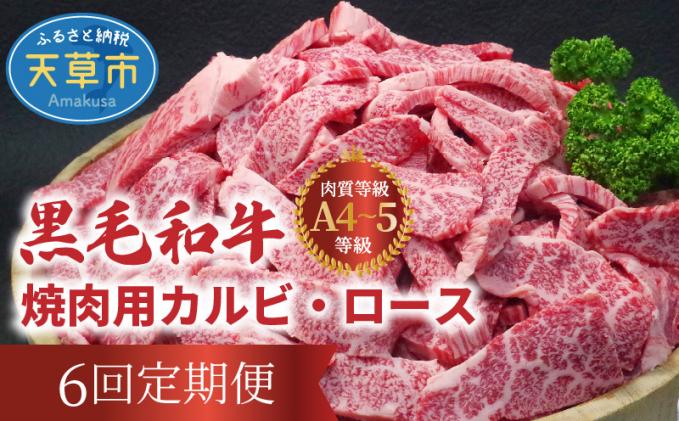 ふるさと納税 S001-022A_黒毛和牛　サーロインステーキ　1枚（300g）ステーキのたれ 1本付 熊本県天草市