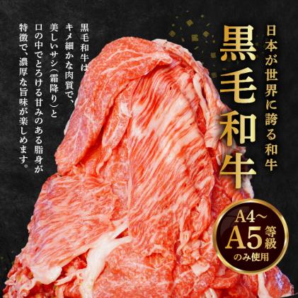 熊本県天草市のふるさと納税 S001-001_A4～A5等級黒毛和牛 切り落とし 1kg(500g×2P)