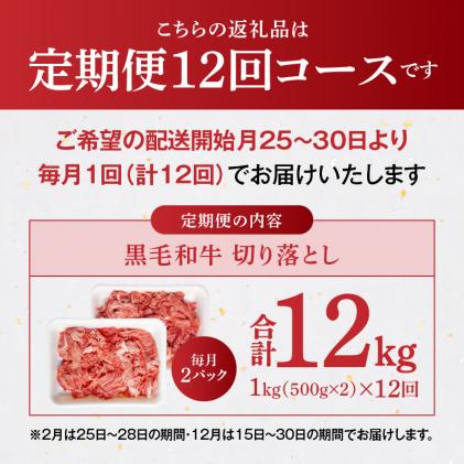 熊本県天草市のふるさと納税 S001-001-T12_【定期便12回】A4～A5等級黒毛和牛 切り落とし1kg(500g×2P)12か月連続お届け