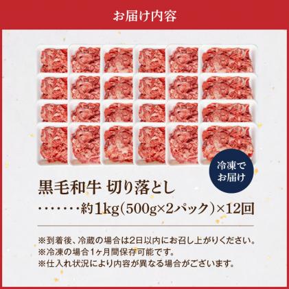 熊本県天草市のふるさと納税 S001-001-T12_【定期便12回】A4～A5等級黒毛和牛 切り落とし1kg(500g×2P)12か月連続お届け