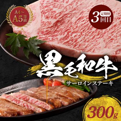熊本県天草市のふるさと納税 S001-T104_【定期便6回】田中畜産食べつくし定期便