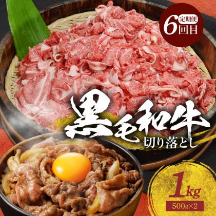 熊本県天草市のふるさと納税 S001-T104_【定期便6回】田中畜産食べつくし定期便