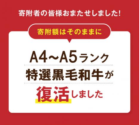 熊本県天草市のふるさと納税 S001-034_A4～A5等級 黒毛和牛 切り落とし 1.5kg(500g×3P)